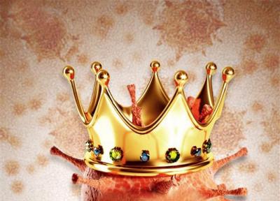 امپراتوری ویروس ها