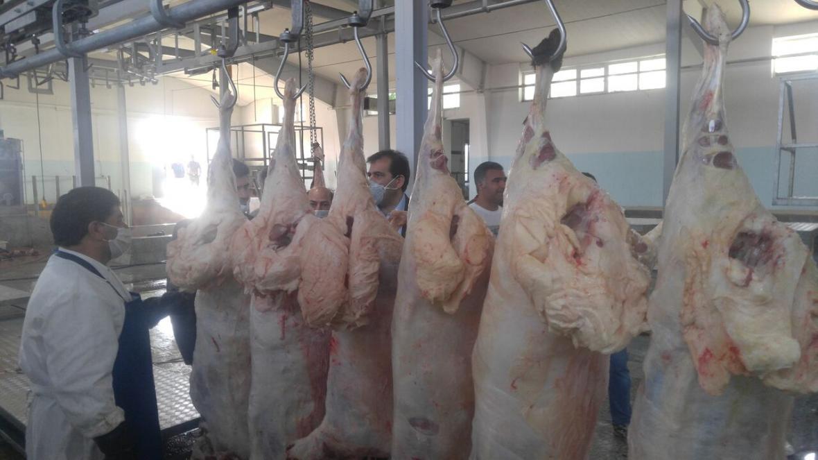 خبرنگاران کشتارگاه صنعتی دام مشگین شهر افتتاح شد خبرنگاران کشتارگاه صنعتی دام مشگین شهر افتتاح شد