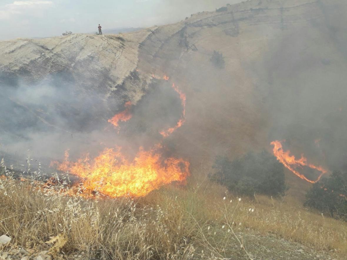 خبرنگاران فضای سبز شهری کرمان مستعد آتش سوزی اعلام شد خبرنگاران فضای سبز شهری کرمان مستعد آتش سوزی اعلام شد