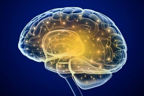 مولکول های مصنوعی مغز موش را ترمیم کردند