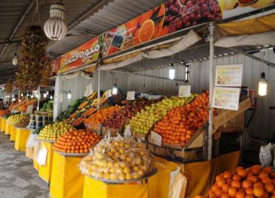 آخرین قیمت میوه در میادین میوه و تره بار