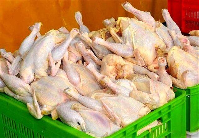 توزیع مرغ 18 هزار و 500 تومانی در البرز توزیع مرغ 18 هزار و 500 تومانی در البرز