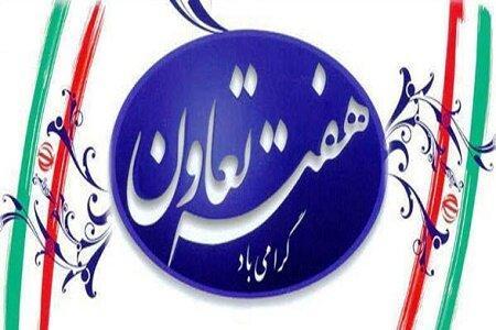 تعاونی ها 5600 فرصت شغلی در انزلی ایجاد کردند تعاونی ها 5600 فرصت شغلی در انزلی ایجاد کردند