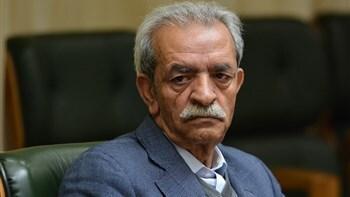 شافعی: بخش خصوصی در حوزه گردشگری بی پناه رها شد، سهم 6.5 درصدی شافعی: بخش خصوصی در حوزه گردشگری بی پناه رها شد، سهم 6.5 درصدی گردشگری از کل اشتغال