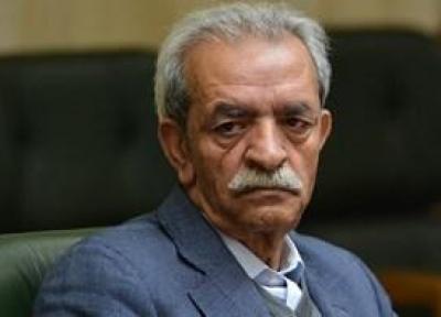 شافعی: بخش خصوصی در حوزه گردشگری بی پناه رها شد، سهم 6.5 درصدی گردشگری از کل اشتغال
