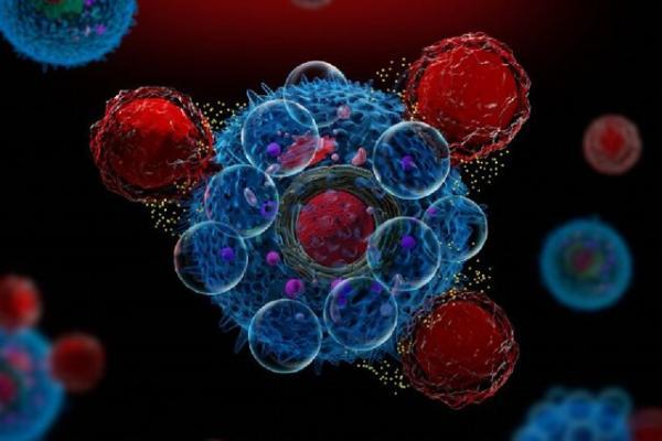 درمان بیماری ها با برنامه ریزی مجدد سلول های ایمنی
