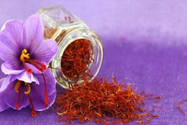 ثبت جهانی زعفران قاینات ثبت جهانی زعفران قاینات