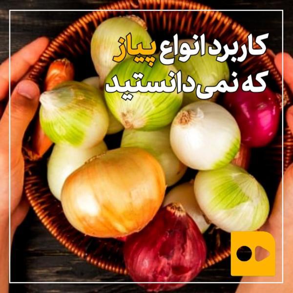 ببینید ، کاربرد انواع پیاز که نمی دانستید ببینید ، کاربرد انواع پیاز که نمی دانستید