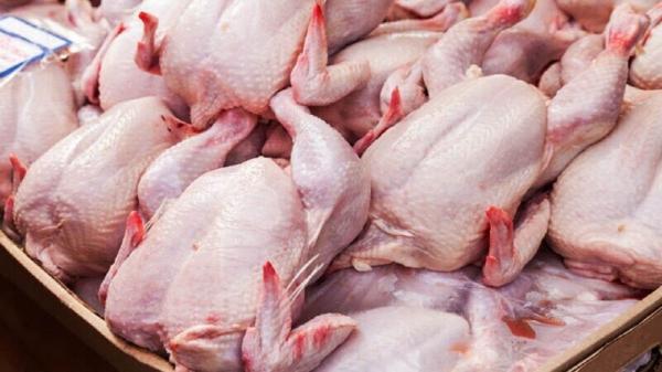 تولید گوشت مرغ روی خط سرعت فراوری گوشت مرغ روی خط سرعت