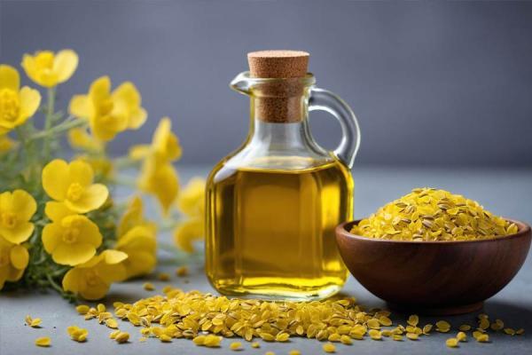 خواص روغن کانولا خواص روغن کانولا